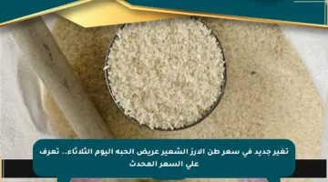 تغير جديد في سعر طن الأرز الشعير عريض الحبة اليوم الثلاثاء.. تعرف على السعر المحدث